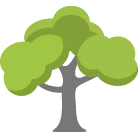 Johnson City Tree Removal Service