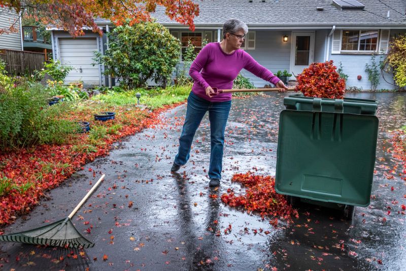 Clean Yard with Leaf Removal