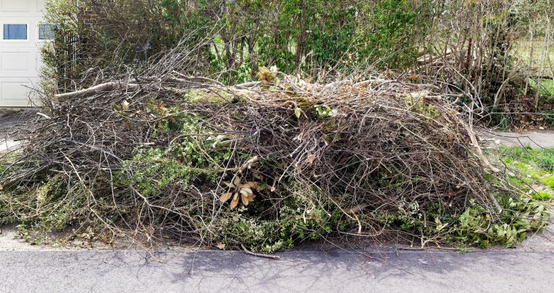 Fallen Tree Debris Cleanup