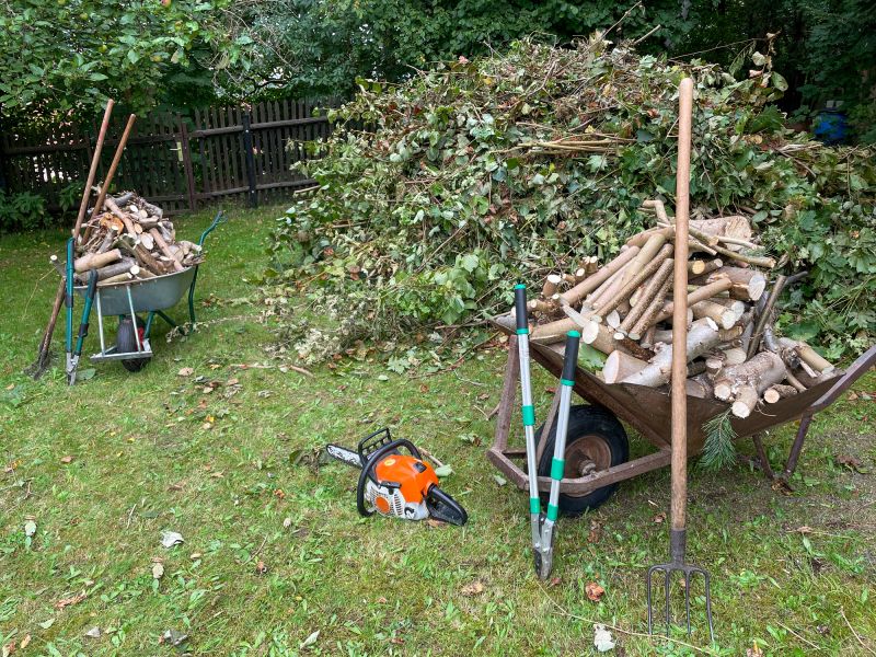 Property Clearing After Removal